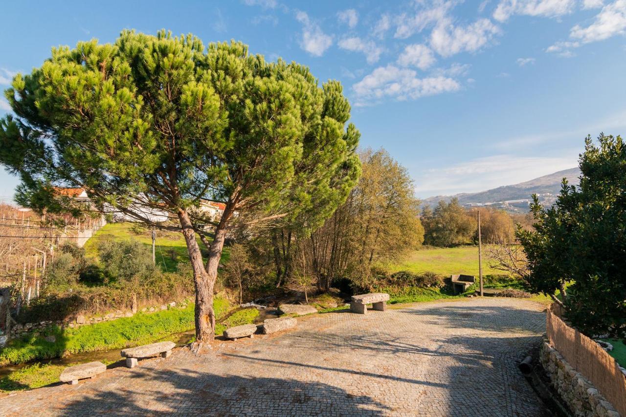 Casa Do Loureiro 1 - Seia - Serra Da Estrela Dış mekan fotoğraf