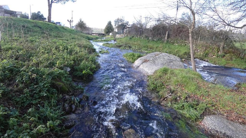 Casa Do Loureiro 1 - Seia - Serra Da Estrela Dış mekan fotoğraf