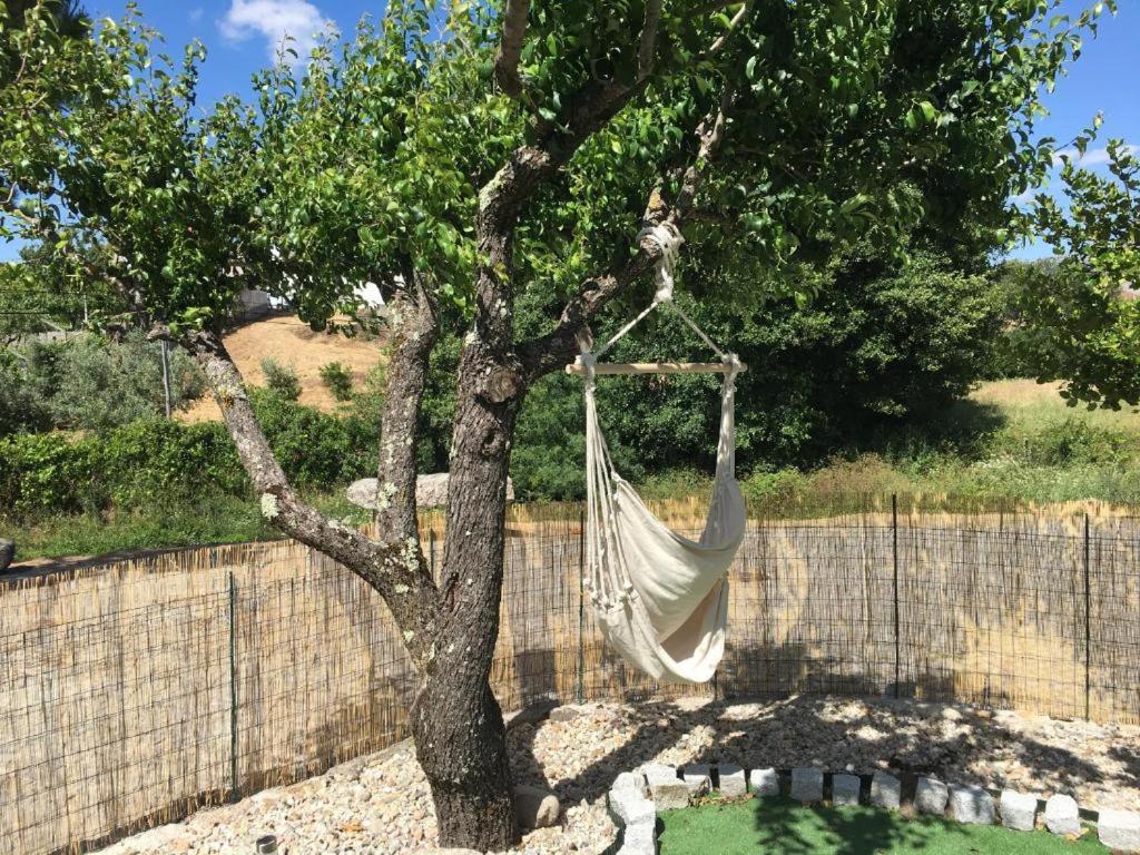 Casa Do Loureiro 1 - Seia - Serra Da Estrela Dış mekan fotoğraf